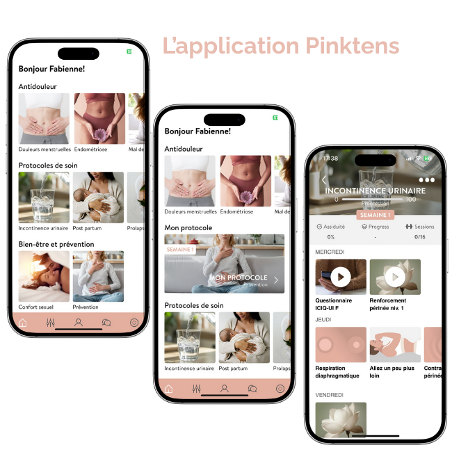 Présentation de l'application Pinktens